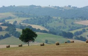 Natura Zaharberritzeko Europako Legeak ez du nekazaritza babesten