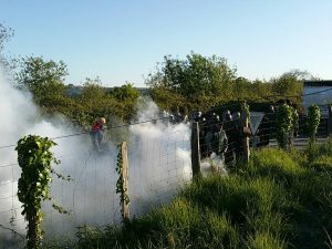 Dignidad: «Los labradores han impedido la matanza de aves en Gabadi, Barkoxe y Domintxain» [GARA]