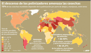 Dos experimentos confirman que los insecticidas agrícolas son nocivos para las abejas