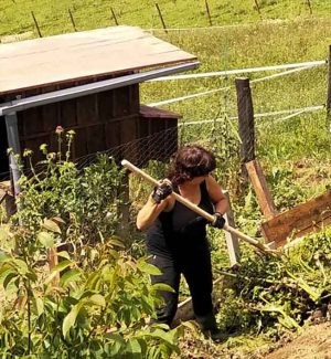 EHNE-Bizkaia presenta alegaciones al proyecto de Estatuto de Mujer Baserritarra