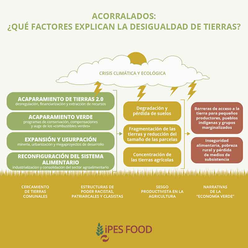 IPES-Food - Factores que explican la- desigualdad de tierras