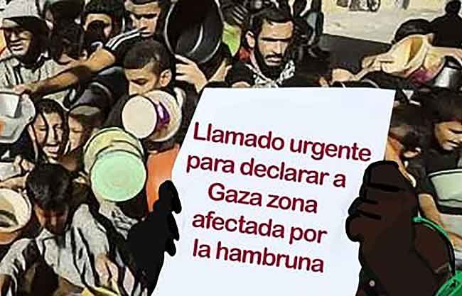 Llamado urgente para declarar a Gaza zona afectada por la hambruna