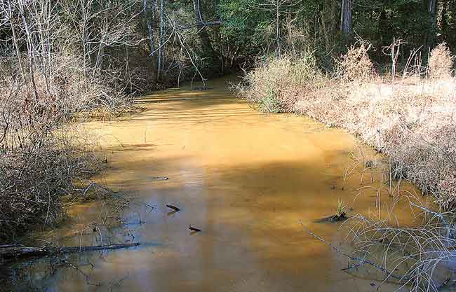 contaminacion rios ibaiak kutsadura