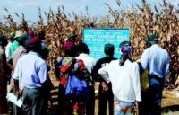 GRAIN: “Bioinsumos corporativos: El nuevo negocio tóxico de la agroindustria”