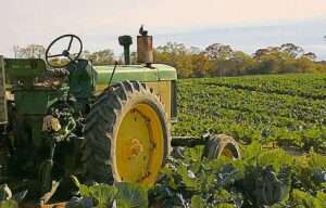 Abierto el plazo para presentar las solicitudes del plan Renove de maquinaria agrícola 2024