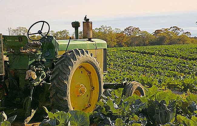 traktore - tractor