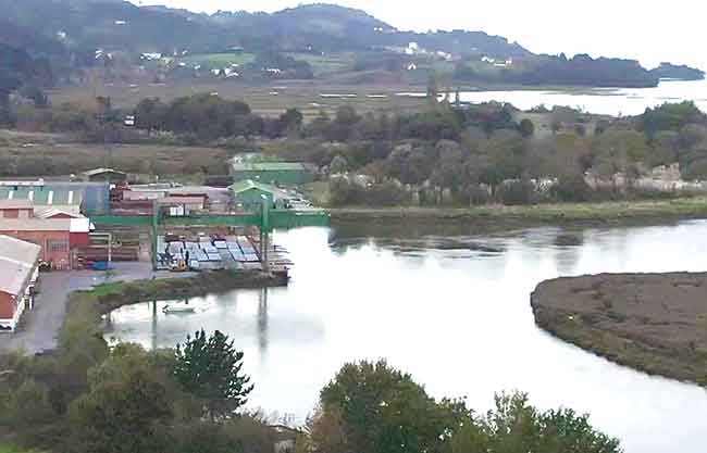 Guggenheim Urdaibai - astilleros Murueta