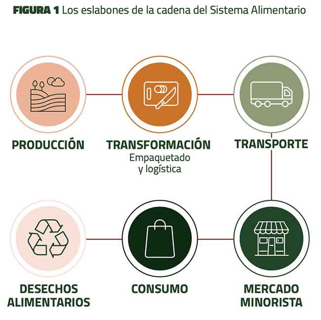 Eslabones de la cadena del sistema alimentario