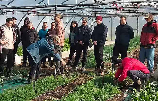 espacio test agrario aleko